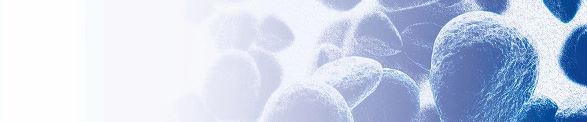 急性髓系白血病